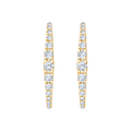 Ames