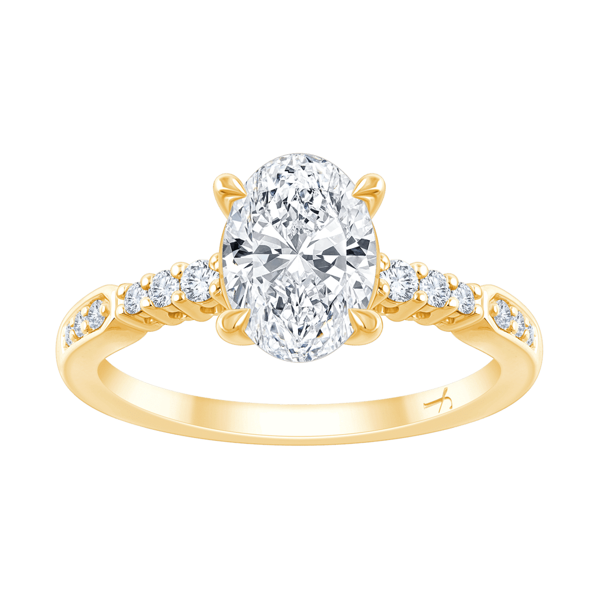 Angelina (oval)