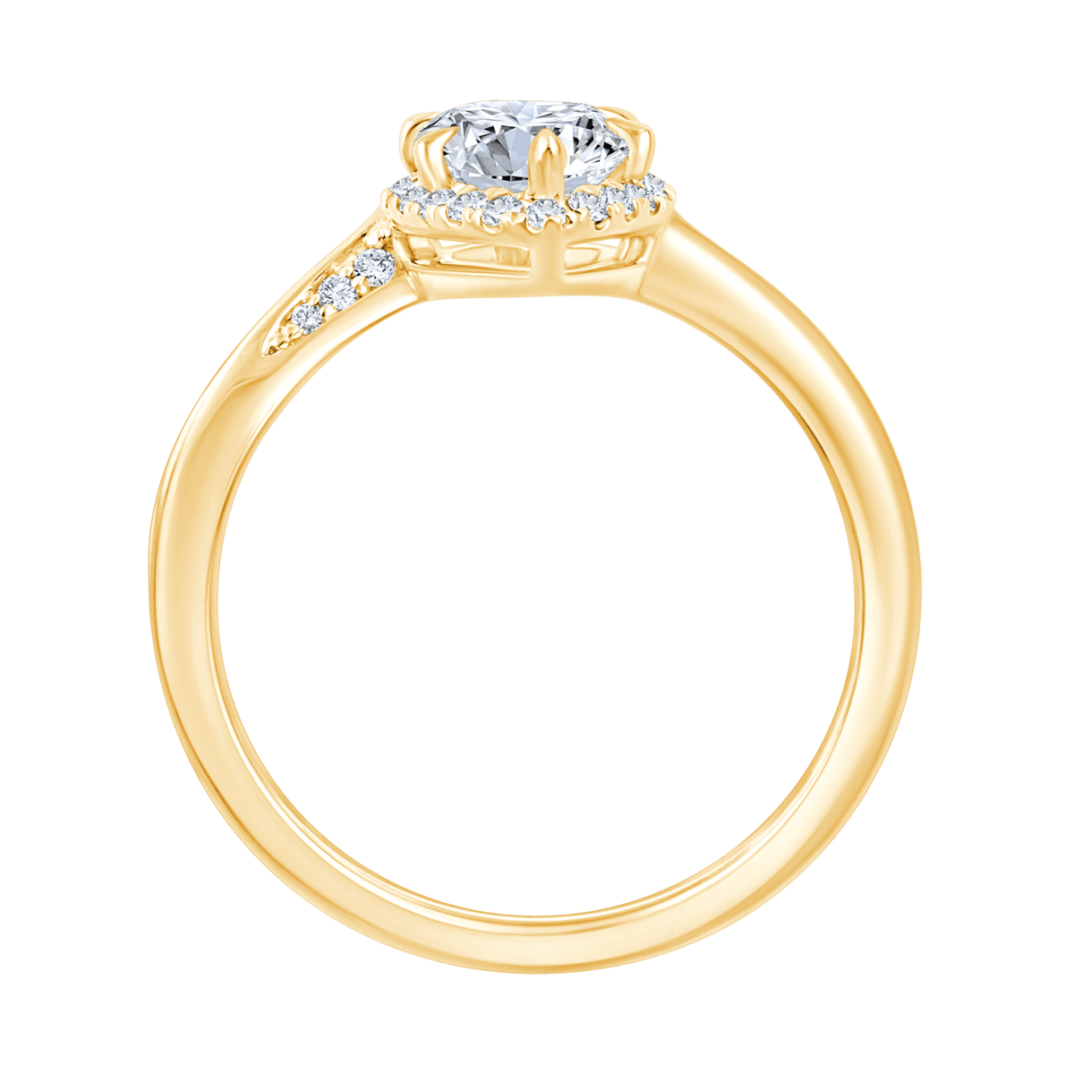 Amalia (marquise)
