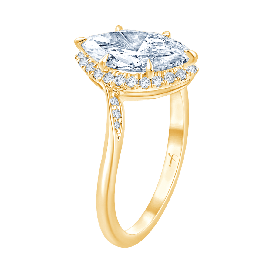 Amalia (marquise)