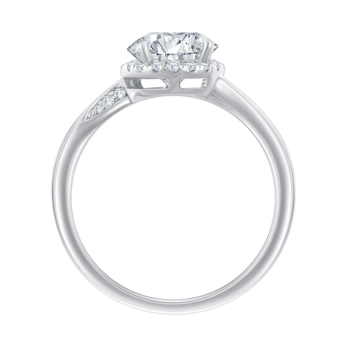 Amalia (whitegold)