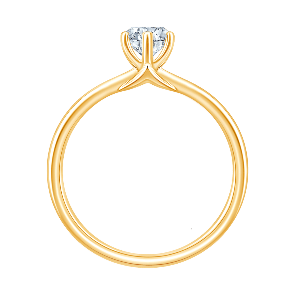 Ami Marquise