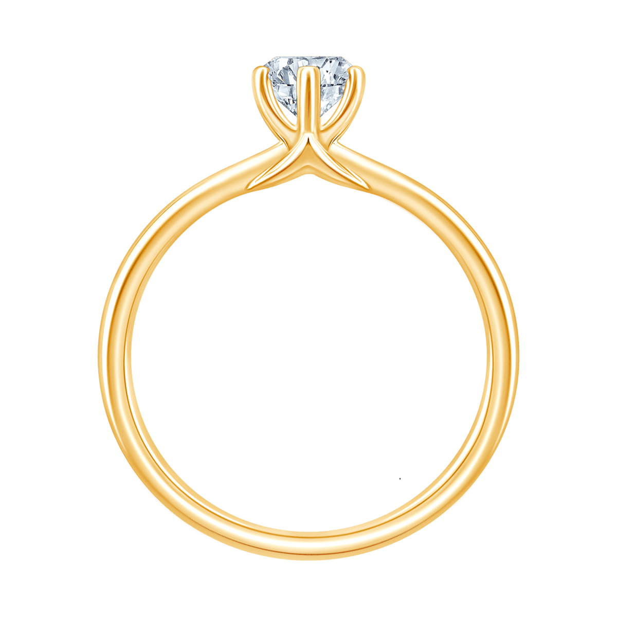 Ami Marquise