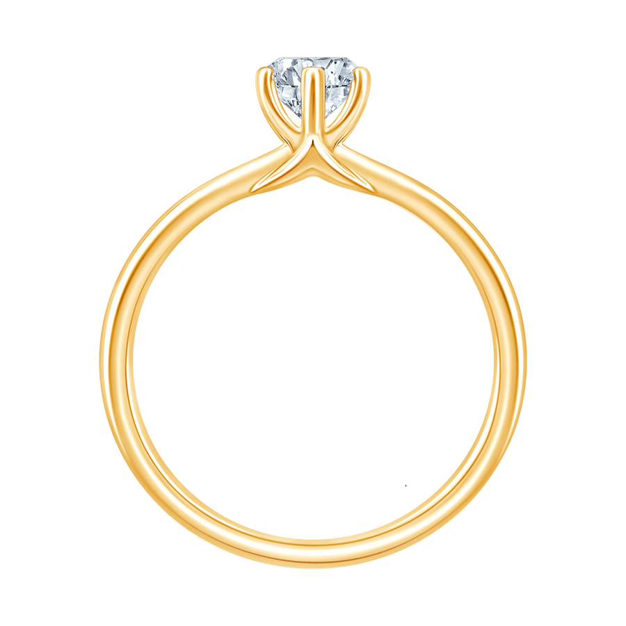 Ami Marquise