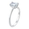 Ari Emerald (whitegold)