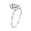 Ari Marquise (whitegold)