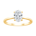 Ari Oval