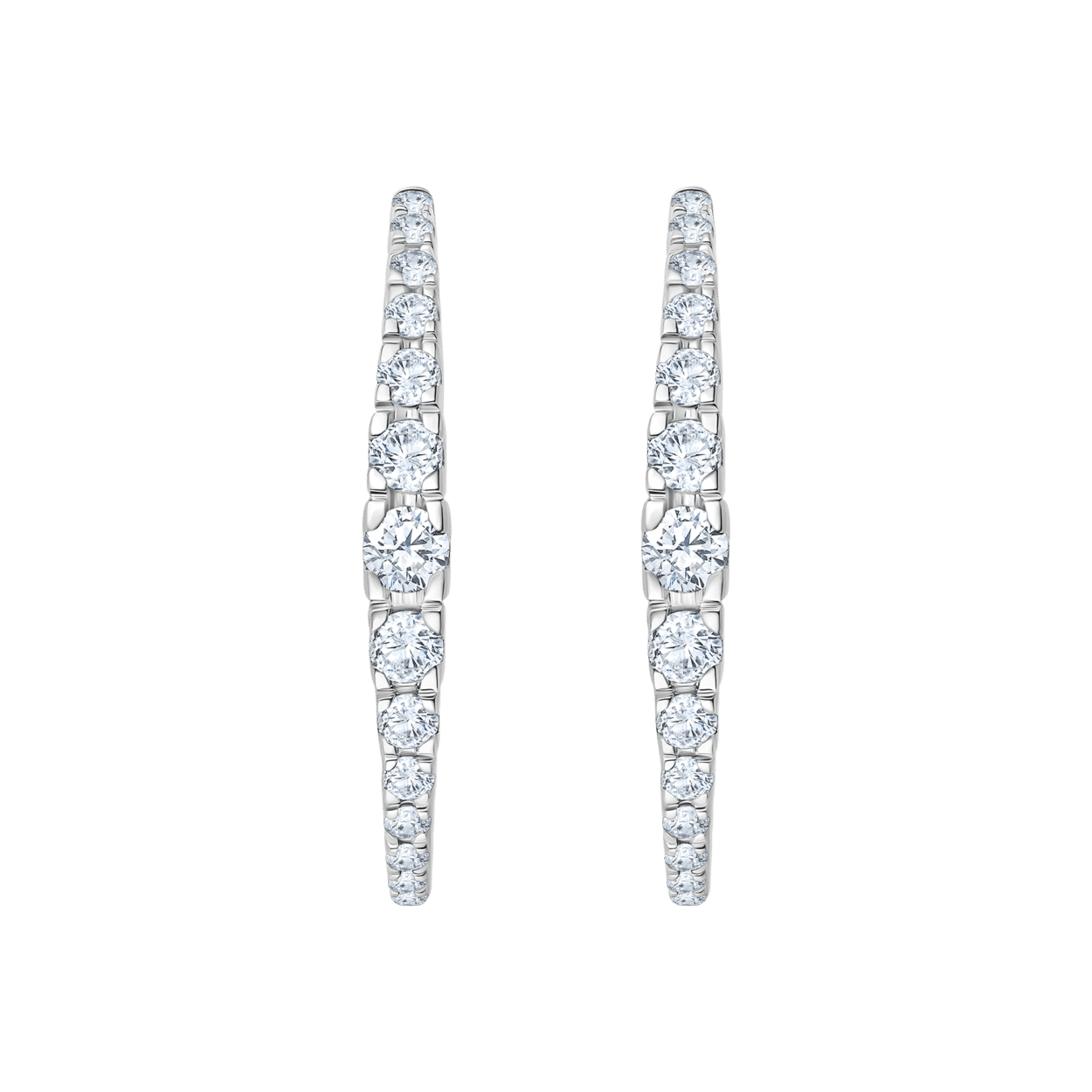 ER1002036 W