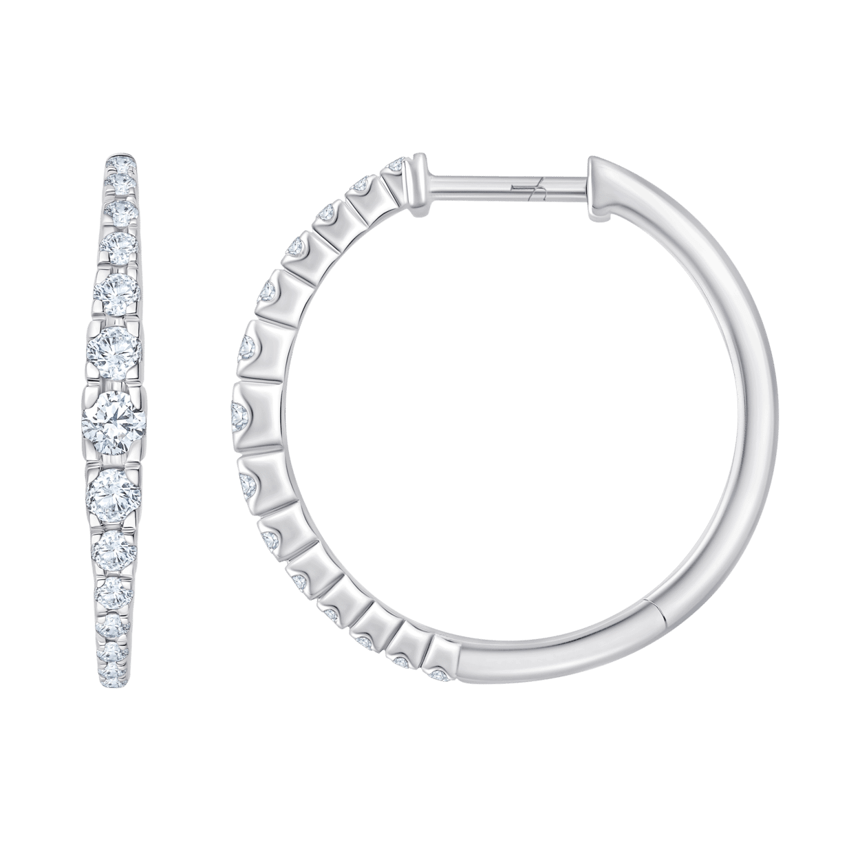 ER1002036_1 W