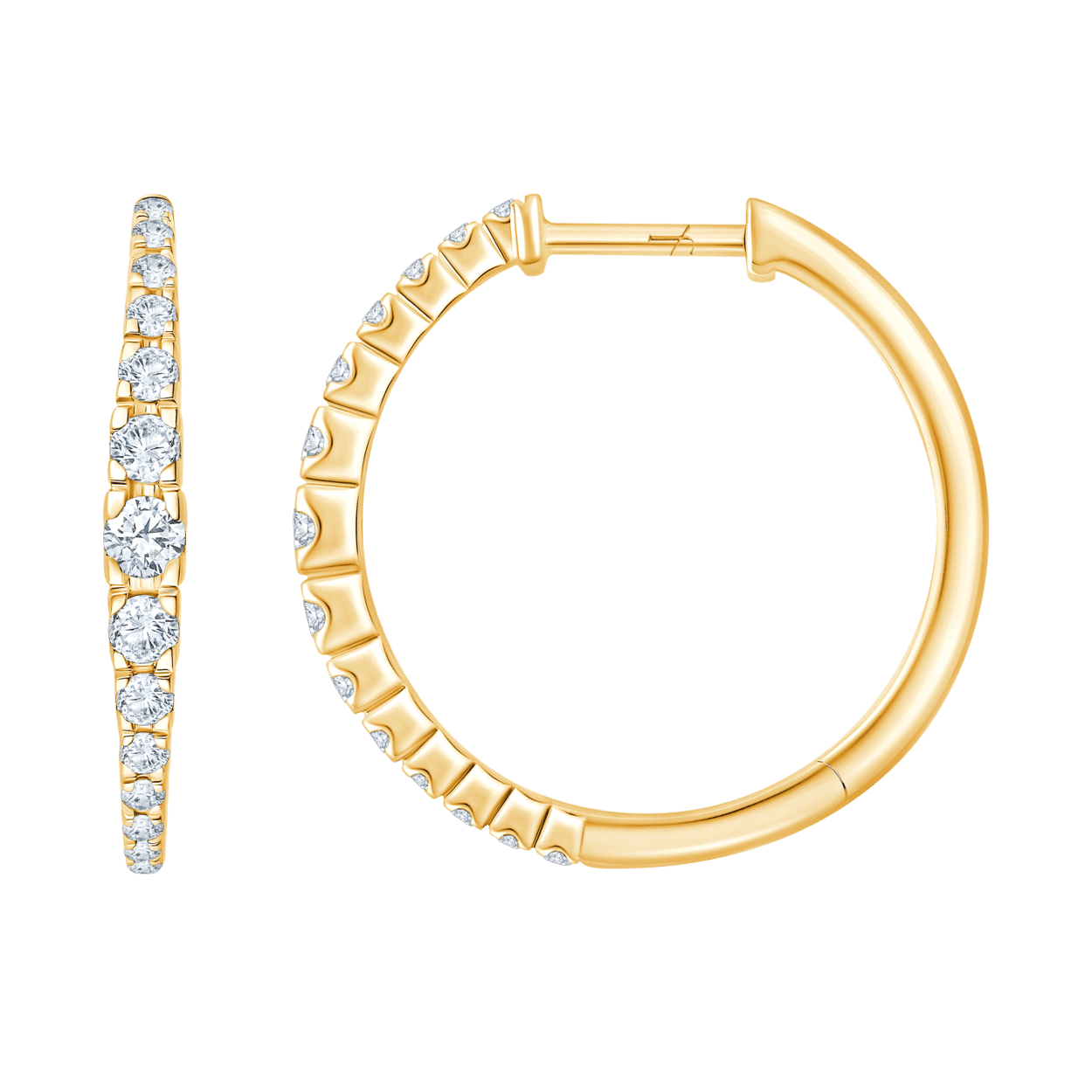 ER1002036_1 Y