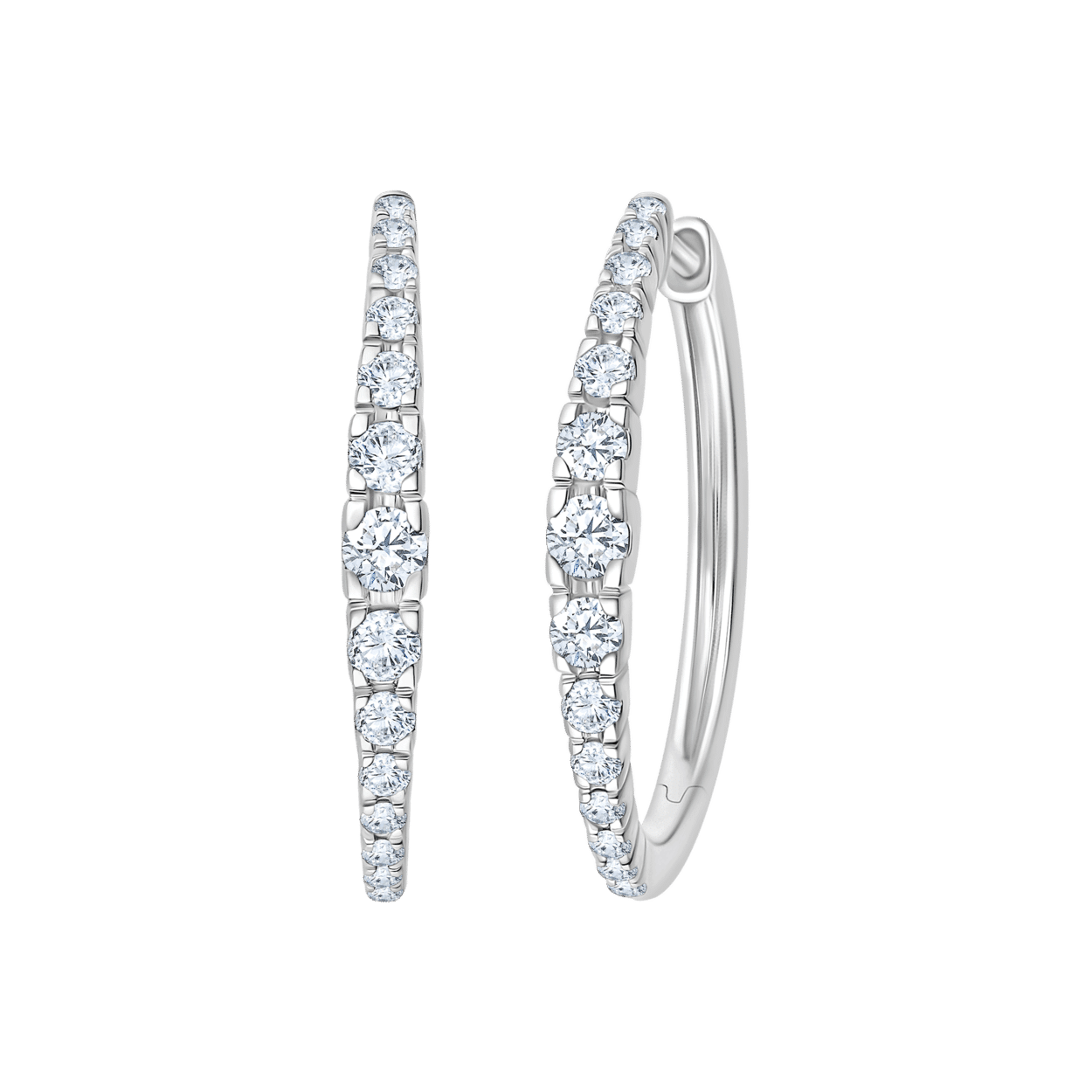 ER1002036_3D W