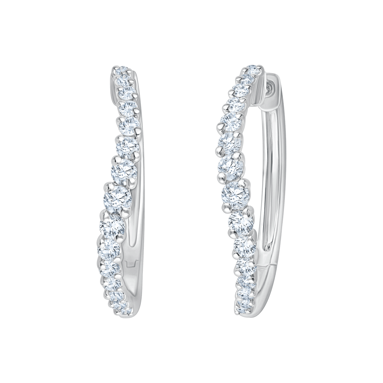 ER1002037_3D W