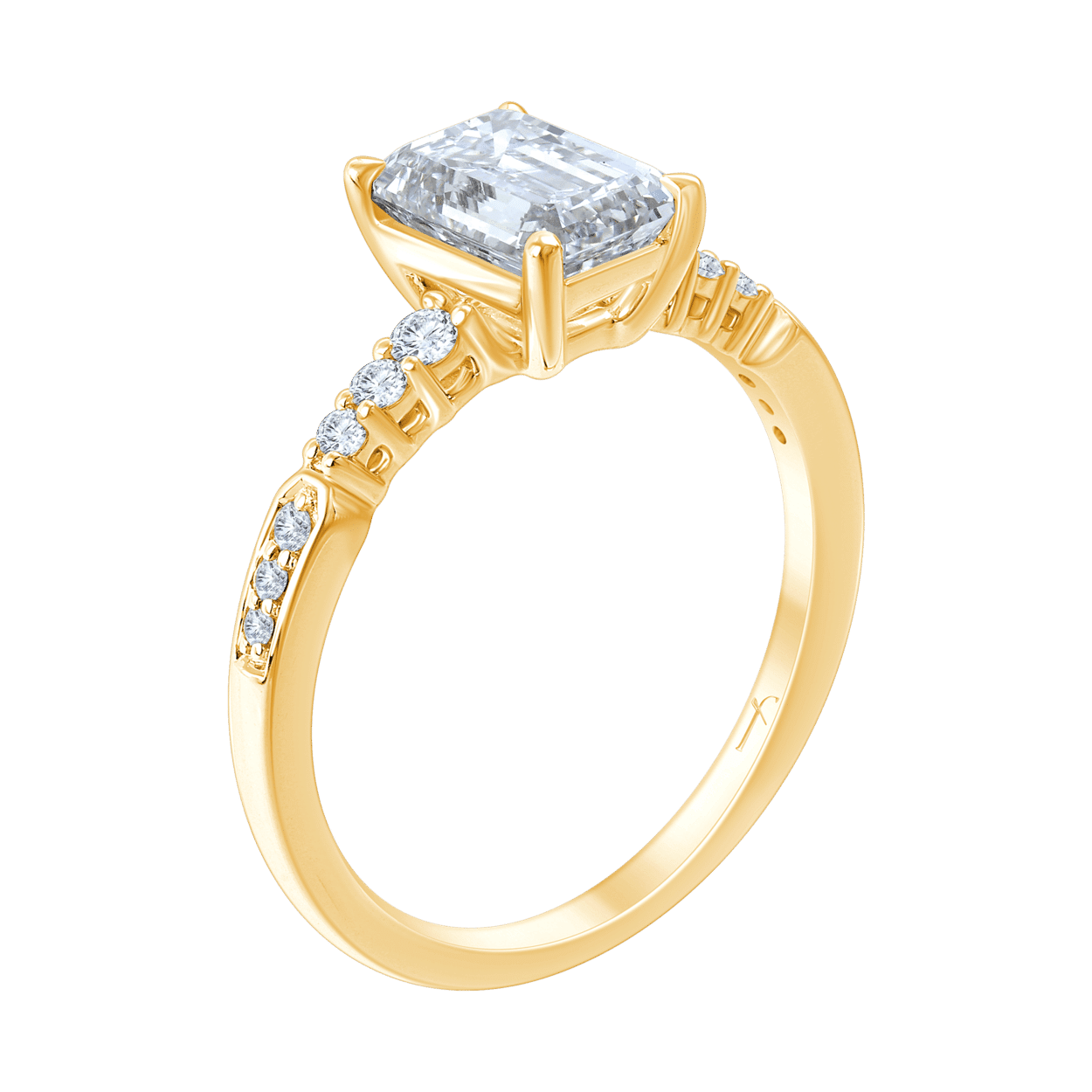 RG1004604 Y_3D