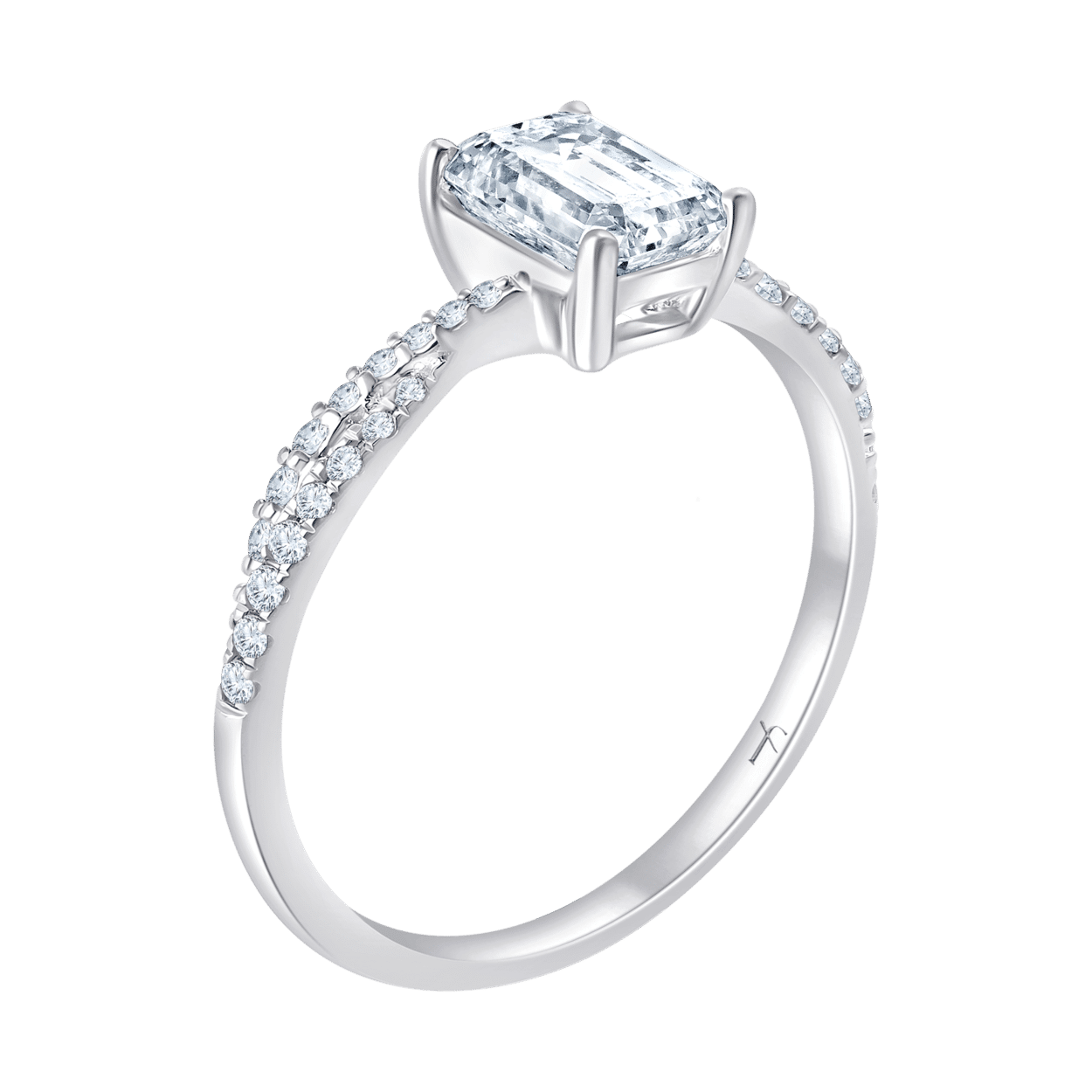 RG1004610_3D W